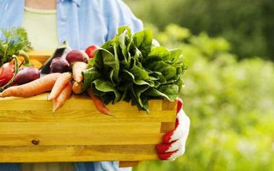 丹麥:北歐國(guó)家的有機(jī)農(nóng)業(yè)&ldquo;童話&rdquo;